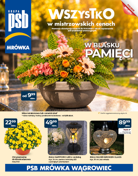 gazetka promocyjna psb mrowka