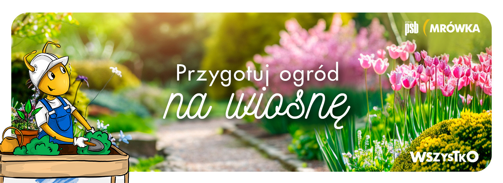 Grupa PSB mrowka Mrówka Wągrowiec