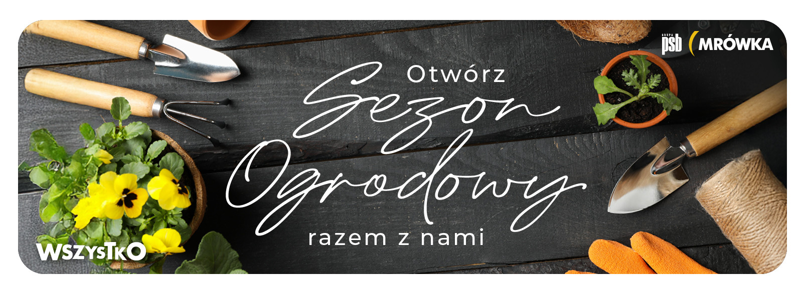 Grupa PSB mrowka Mrówka Wągrowiec