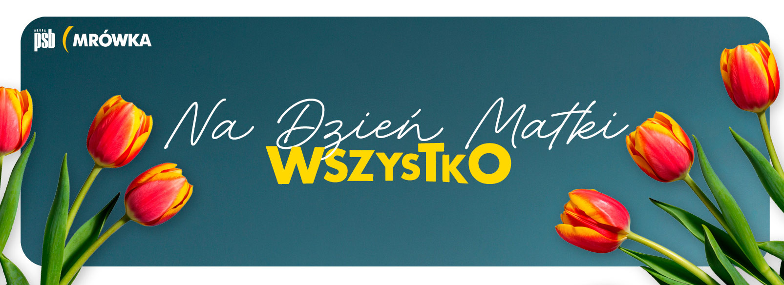 Grupa PSB mrowka Mrówka Wągrowiec
